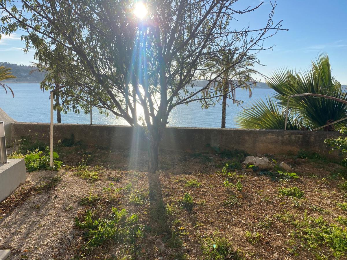 Splendide Studio Miramar Vue Mer Avec Terrasse Bandol Exterior foto